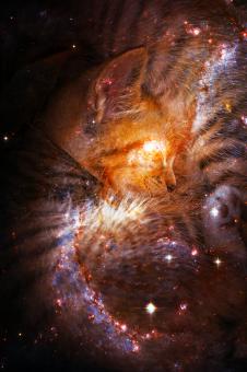 Free Stock Photo of Cat Nap Galaxy