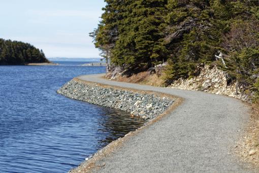 Free Stock Photo of Walking trail