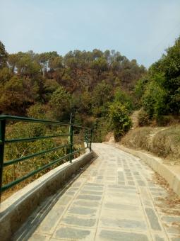 Free Stock Photo of Stone paved road in Kageshswori hill 