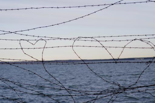Free Stock Photo of Barbed wire hearts