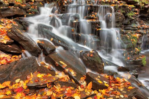 Free Stock Photo of Autumn Cayuga Slide Falls
