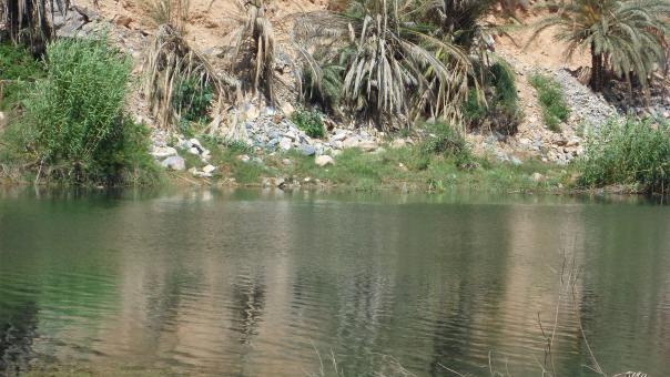 Free Stock Photo of la nature de source boutboukalte