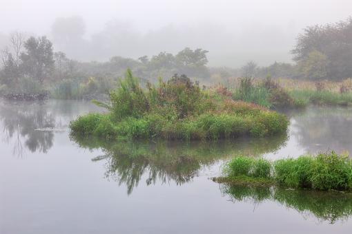 Free Stock Photo of Misty Reflections of Old Crow Wetlands