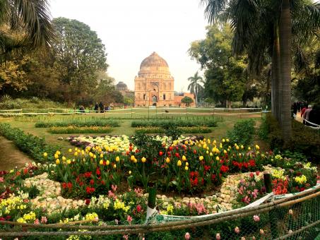 Free Stock Photo of Lodhi Garden