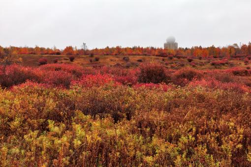 Free Stock Photo of Autumn Tower Field