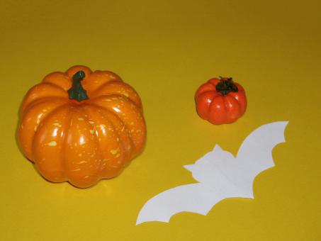 Free Stock Photo of Ripe pumpkin for halloween on the background of the holiday 