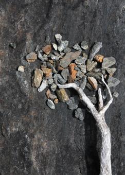 Free Stock Photo of Assembled Chaos