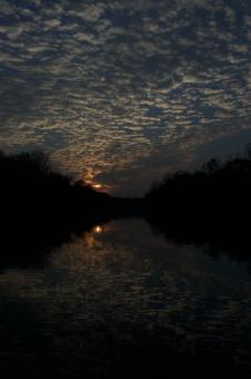 Free Stock Photo of Last light 