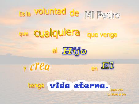 Free Stock Photo of La Voluntad de Mi Padre