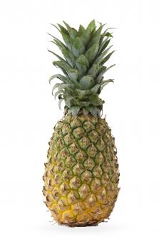 Free Stock Photo of Pineapple on white background 