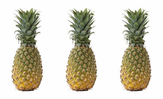 Free Stock Photo of three pineapples on white background
