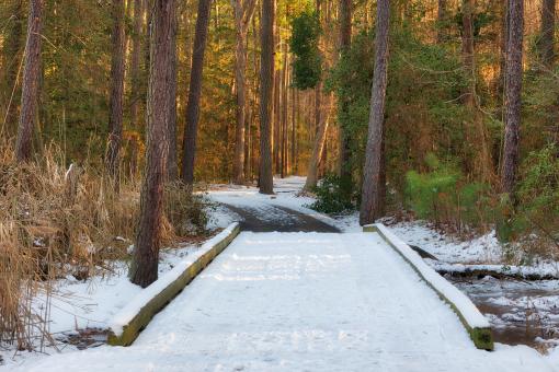 Free Stock Photo of Winter Crossing Trail - Kent Island