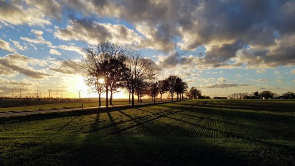 Free Stock Photo of Sunset Trees 