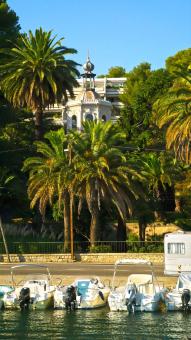 Free Stock Photo of House among palm trees
