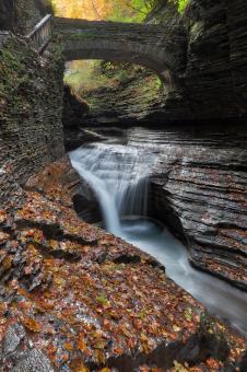 Free Stock Photo of Gorge Bridge Stream - Watkins Glen