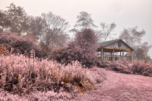 Free Stock Photo of Misty Old Crow Lookout - Pink Pastel Fantasy