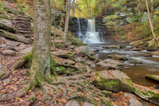 Free Stock Photo of Sheldon Reynolds Step Falls