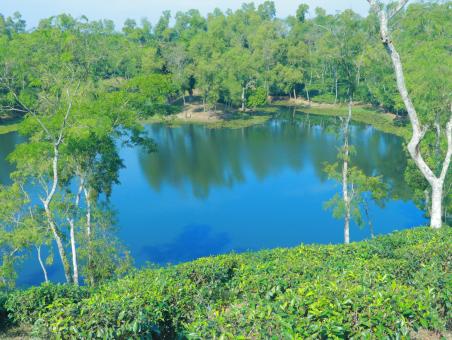 Free Stock Photo of Beautiful lake at sylhet