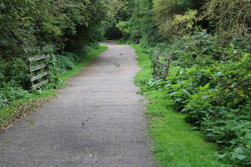Free Stock Photo of Walking path