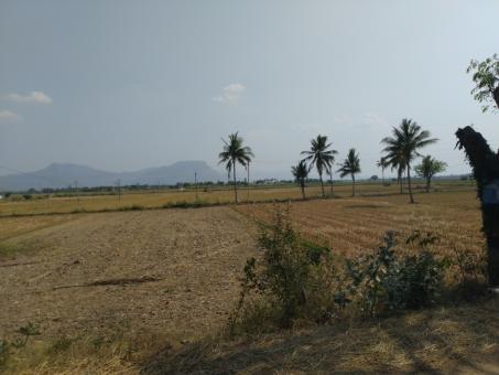Free Stock Photo of Agricultural fields