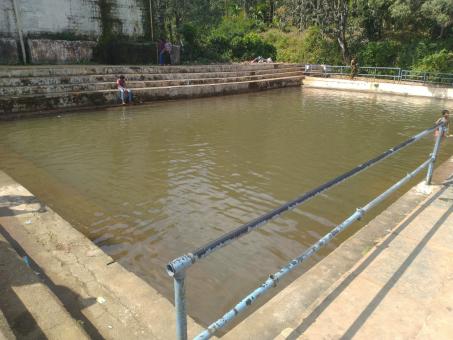 Free Stock Photo of Water Pond