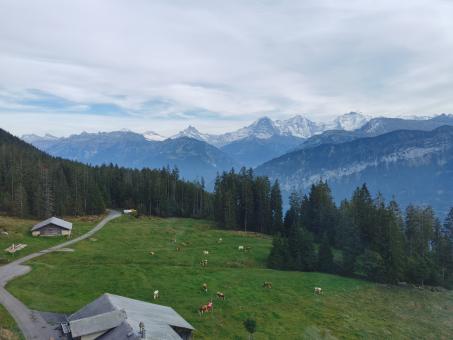 Free Stock Photo of Countryside 