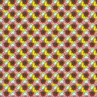 Free Stock Photo of Seamless pattern Illustration the sunflower