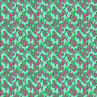 Free Stock Photo of Seamless pattern Illustration the cactus