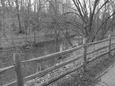 Free Stock Photo of bridge pond and forest