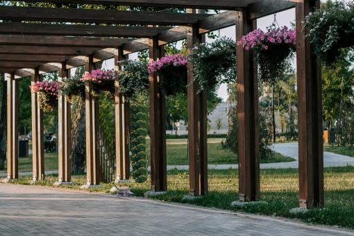 Free Stock Photo of Park