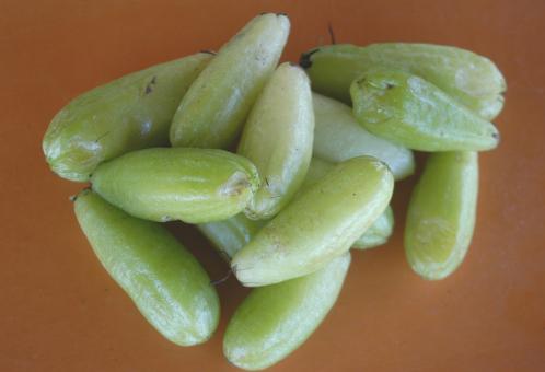 Free Stock Photo of Biri-biri (Averrhoa bilimbi)