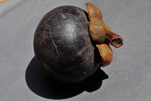 Free Stock Photo of Mangostão 