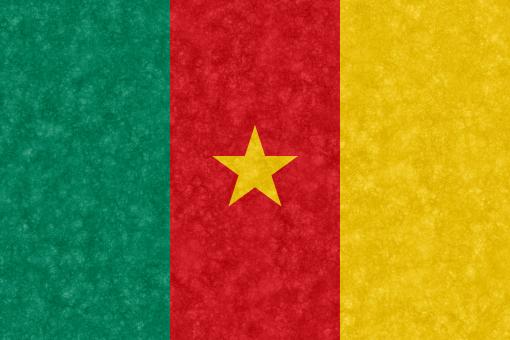Free Stock Photo of Velvet Flag - Cameroon