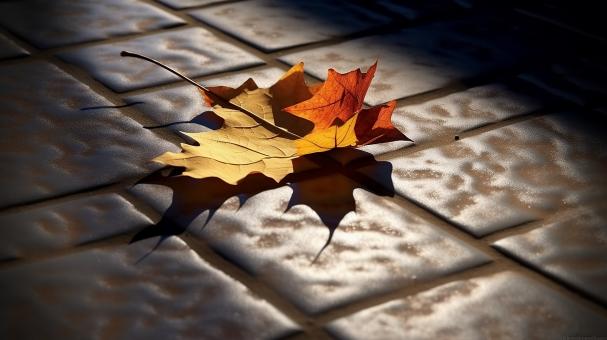 Free Stock Photo of Filtered Light