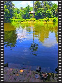 Free Stock Photo of the pond in the village