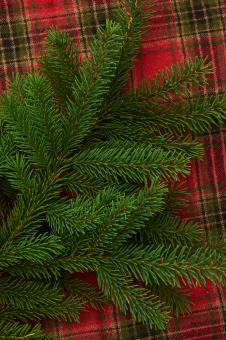 Free Stock Photo of Christmas background