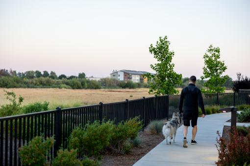Free Stock Photo of Man walking dog