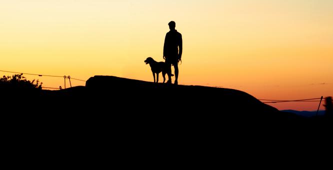 Free Stock Photo of Person with dog