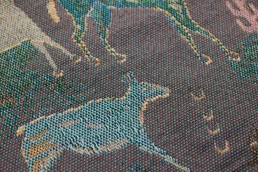 Free Stock Photo of Animal print fabric