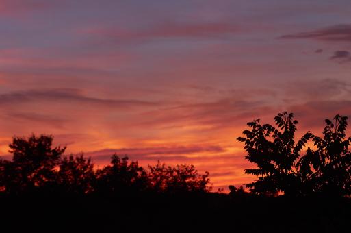 Free Stock Photo of Vivid Sunset