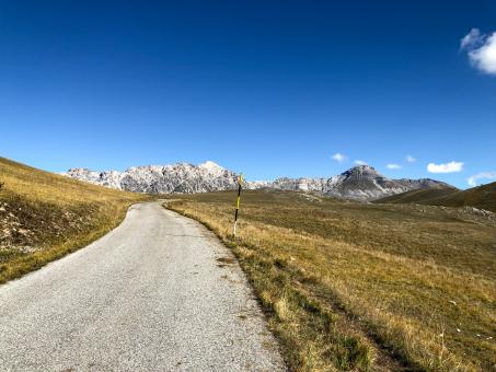 Free Stock Photo of Rural dirt road