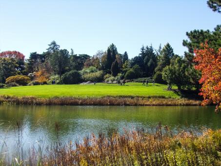 Free Stock Photo of Walking In Botanic Gardens