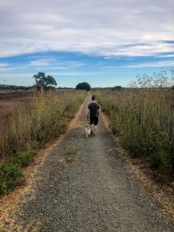 Free Stock Photo of Man walking dog