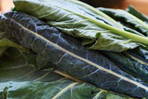 Free Stock Photo of Fresh Kale