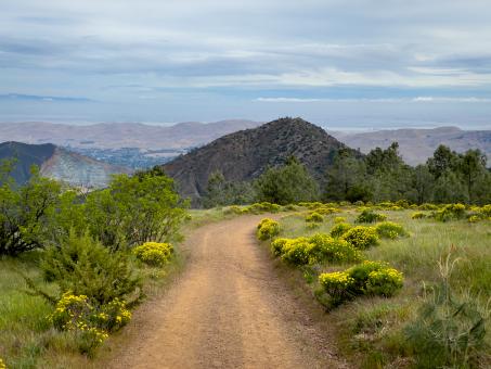 Free Stock Photo of Rural Dirt Road