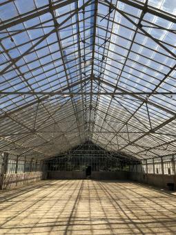 Free Stock Photo of Greenhouse 