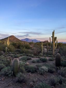 Free Stock Photo of Desert landscape