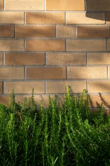 Free Stock Photo of Brick exterior wall