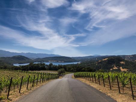Free Stock Photo of Napa road
