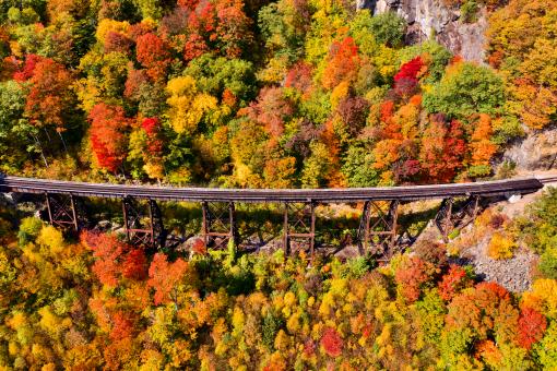 Free Stock Photo of Autumn train tracks